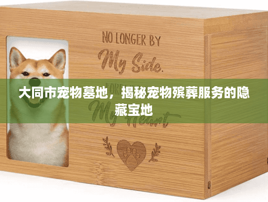 大同市宠物墓地，揭秘宠物殡葬服务的隐藏宝地