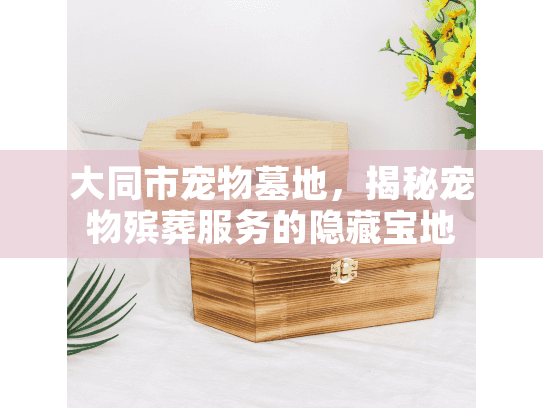 大同市宠物墓地，揭秘宠物殡葬服务的隐藏宝地