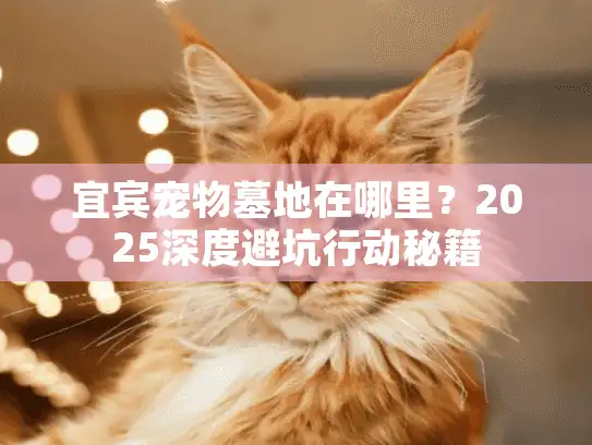 宜宾宠物墓地在哪里?2025深度避坑行动秘籍 宜宾宠物墓地在哪里?2025深度避坑行动秘籍