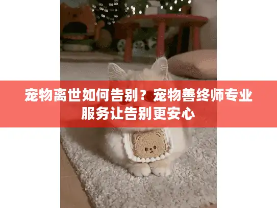 宠物离世如何告别?宠物善终师专业服务让告别更安心 宠物离世如何告别?宠物善终师专业服务让告别更安心