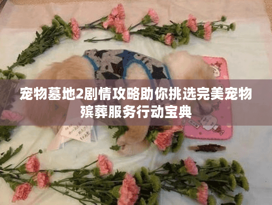 宠物墓地2剧情攻略助你挑选完美宠物殡葬服务行动宝典 宠物墓地2剧情攻略助你挑选完美宠物殡葬服务行动宝典