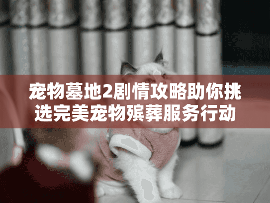 宠物墓地2剧情攻略助你挑选完美宠物殡葬服务行动宝典 宠物墓地2剧情攻略助你挑选完美宠物殡葬服务行动宝典