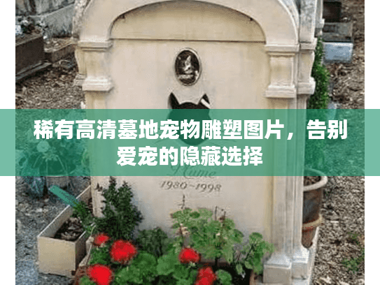 稀有高清墓地宠物雕塑图片,告别爱宠的隐藏选择 稀有高清墓地宠物雕塑图片,告别爱宠的隐藏选择