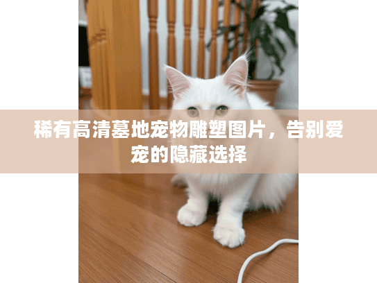 稀有高清墓地宠物雕塑图片,告别爱宠的隐藏选择 稀有高清墓地宠物雕塑图片,告别爱宠的隐藏选择