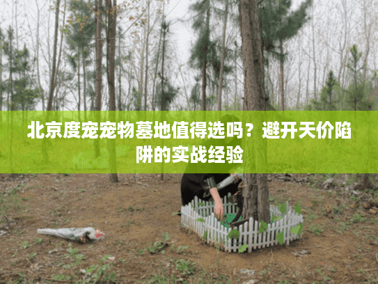 北京度宠宠物墓地值得选吗？避开天价陷阱的实战经验