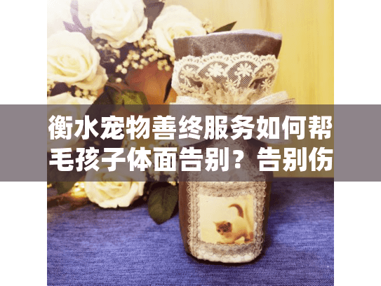 衡水宠物善终服务如何帮毛孩子体面告别？告别伤痛指南