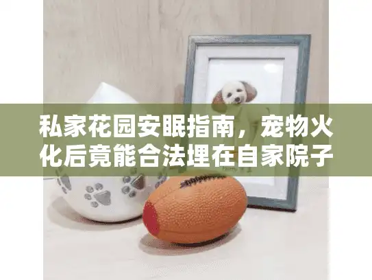 私家花园安眠指南，宠物火化后竟能合法埋在自家院子的冷门方案