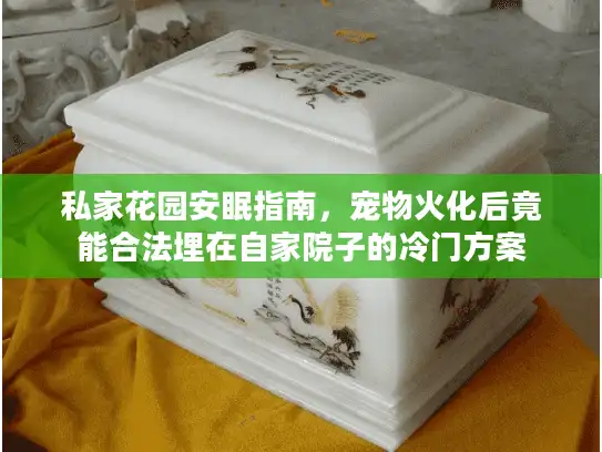 私家花园安眠指南，宠物火化后竟能合法埋在自家院子的冷门方案