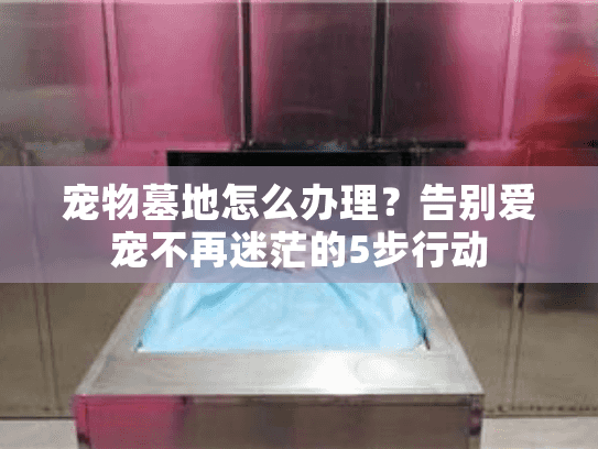 宠物墓地怎么办理？告别爱宠不再迷茫的5步行动