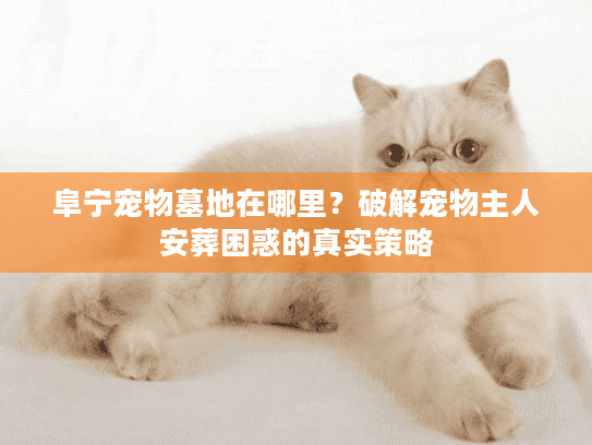 阜宁宠物墓地在哪里？破解宠物主人安葬困惑的真实策略