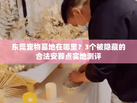 东莞宠物墓地在哪里？3个被隐藏的合法安葬点实地测评