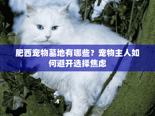 肥西宠物墓地有哪些？宠物主人如何避开选择焦虑