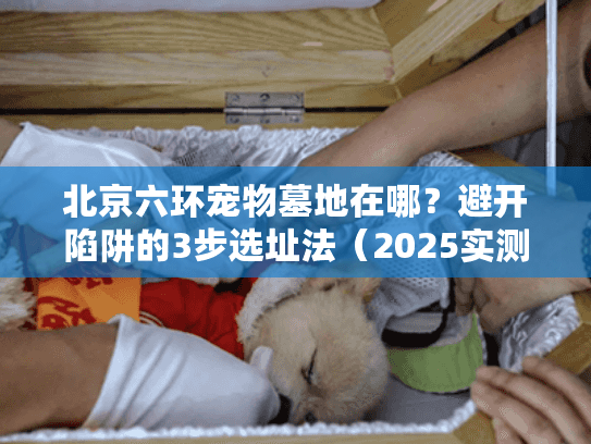 北京六环宠物墓地在哪？避开陷阱的3步选址法（2025实测版）