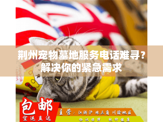 荆州宠物墓地服务电话难寻？解决你的紧急需求