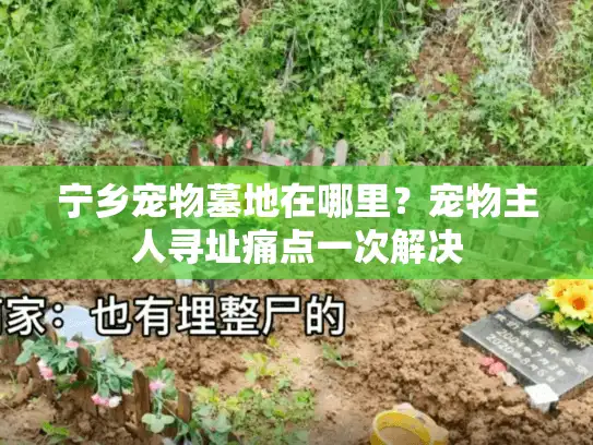 宁乡宠物墓地在哪里？宠物主人寻址痛点一次解决