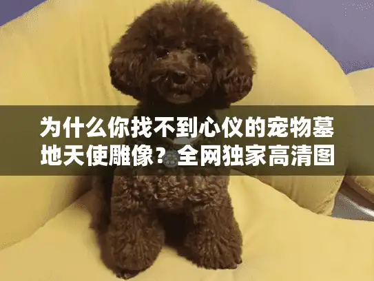 为什么你找不到心仪的宠物墓地天使雕像？全网独家高清图片指南