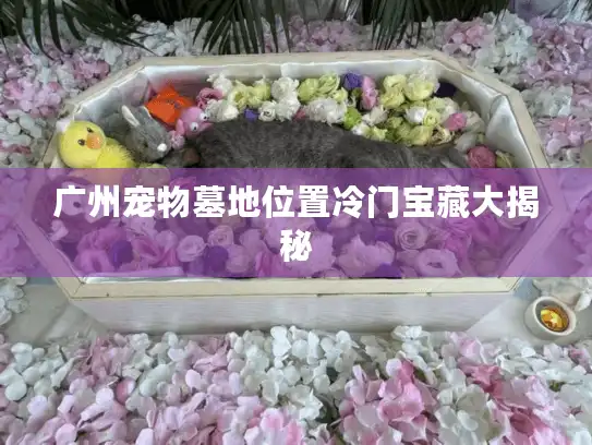 广州宠物墓地位置冷门宝藏大揭秘
