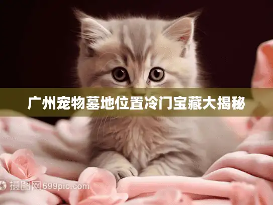 广州宠物墓地位置冷门宝藏大揭秘