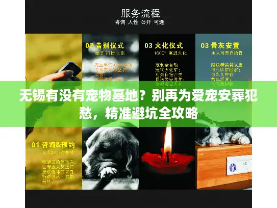 无锡有没有宠物墓地？别再为爱宠安葬犯愁，精准避坑全攻略