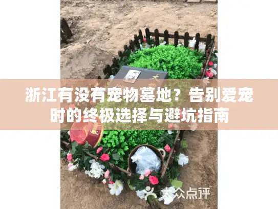 浙江有没有宠物墓地？告别爱宠时的终极选择与避坑指南