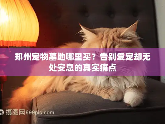 郑州宠物墓地哪里买？告别爱宠却无处安息的真实痛点