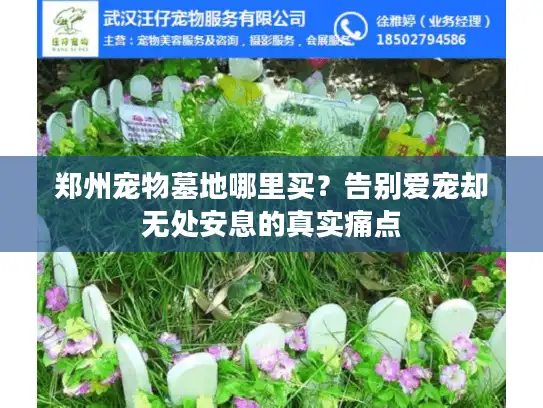 郑州宠物墓地哪里买？告别爱宠却无处安息的真实痛点