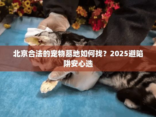 北京合法的宠物墓地如何找？2025避陷阱安心选
