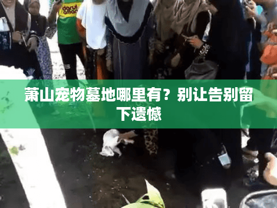 萧山宠物墓地哪里有？别让告别留下遗憾