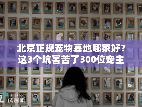 北京正规宠物墓地哪家好?这3个坑害苦了300位宠主 北京正规宠物墓地哪家好?这3个坑害苦了300位宠主