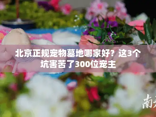 北京正规宠物墓地哪家好?这3个坑害苦了300位宠主 北京正规宠物墓地哪家好?这3个坑害苦了300位宠主