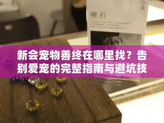 新会宠物善终在哪里找？告别爱宠的完整指南与避坑技巧