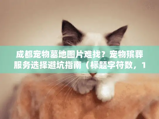 成都宠物墓地图片难找？宠物殡葬服务选择避坑指南（标题字符数，14汉字）