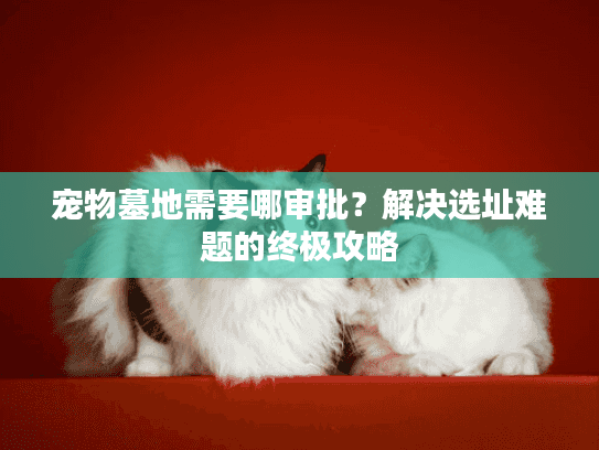 宠物墓地需要哪审批？解决选址难题的终极攻略