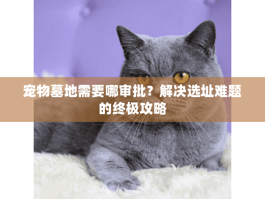 宠物墓地需要哪审批？解决选址难题的终极攻略