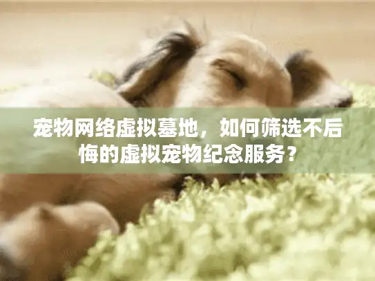宠物网络虚拟墓地，如何筛选不后悔的虚拟宠物纪念服务？