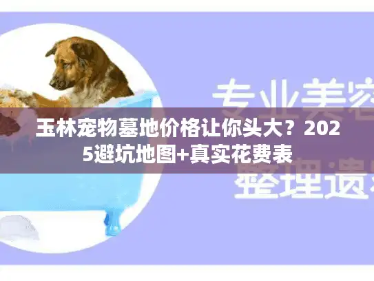 玉林宠物墓地价格让你头大？2025避坑地图+真实花费表