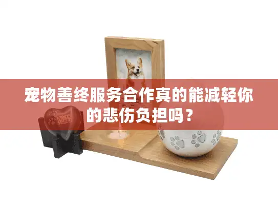 宠物善终服务合作真的能减轻你的悲伤负担吗？