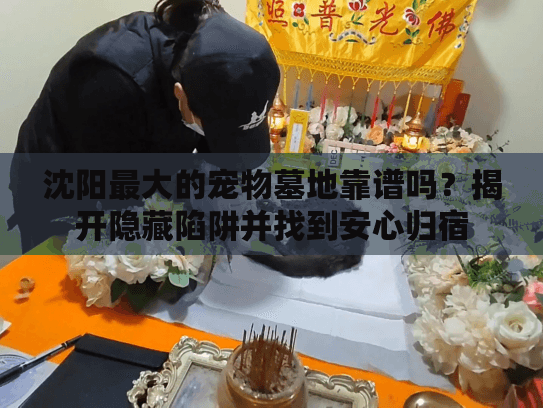 沈阳最大的宠物墓地靠谱吗？揭开隐藏陷阱并找到安心归宿