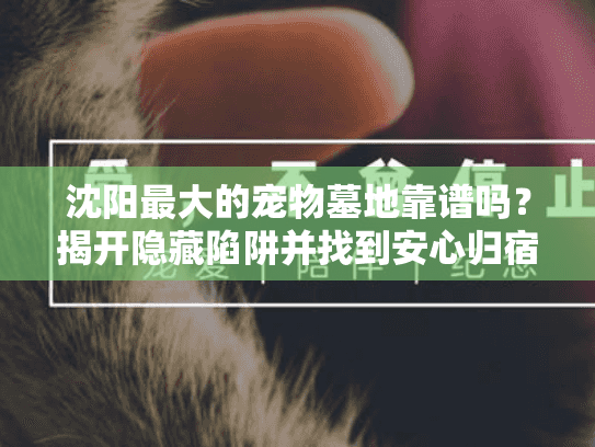 沈阳最大的宠物墓地靠谱吗？揭开隐藏陷阱并找到安心归宿