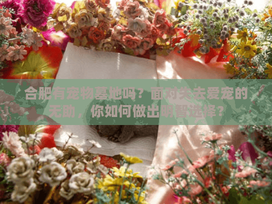 合肥有宠物墓地吗？面对失去爱宠的无助，你如何做出明智选择？