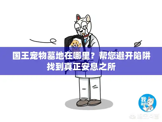 国王宠物墓地在哪里？帮您避开陷阱找到真正安息之所