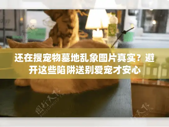 还在搜宠物墓地乱象图片真实？避开这些陷阱送别爱宠才安心