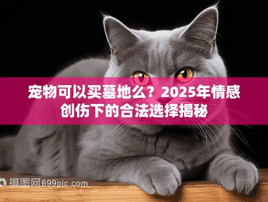 宠物可以买墓地么？2025年情感创伤下的合法选择揭秘