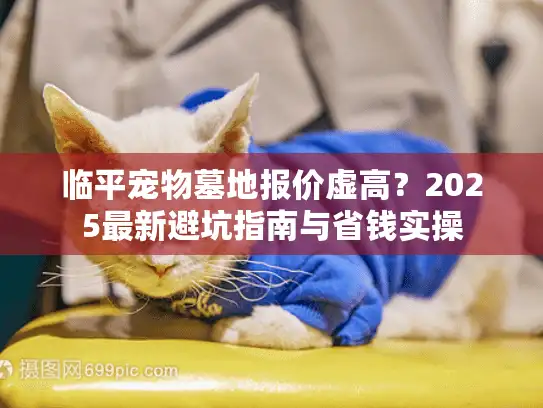 临平宠物墓地报价虚高？2025最新避坑指南与省钱实操