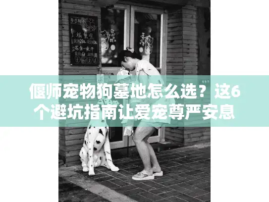 偃师宠物狗墓地怎么选?这6个避坑指南让爱宠尊严安息 偃师宠物狗墓地怎么选?这6个避坑指南让爱宠尊严安息