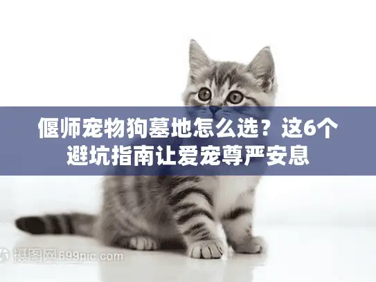 偃师宠物狗墓地怎么选?这6个避坑指南让爱宠尊严安息 偃师宠物狗墓地怎么选?这6个避坑指南让爱宠尊严安息