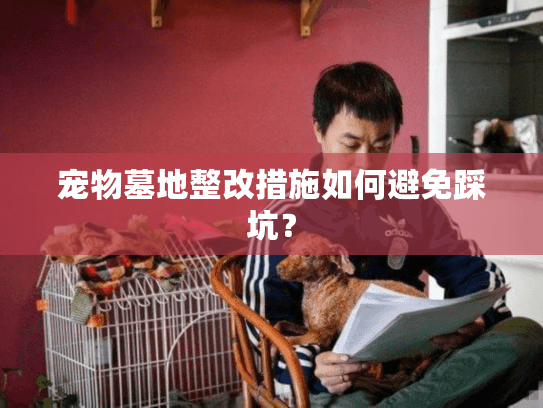 宠物墓地整改措施如何避免踩坑？