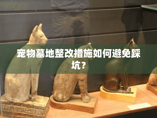 宠物墓地整改措施如何避免踩坑？