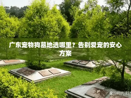 广东宠物狗墓地选哪里？告别爱宠的安心方案