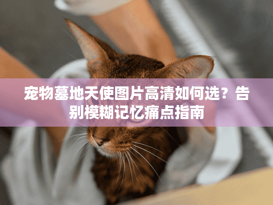 宠物墓地天使图片高清如何选？告别模糊记忆痛点指南